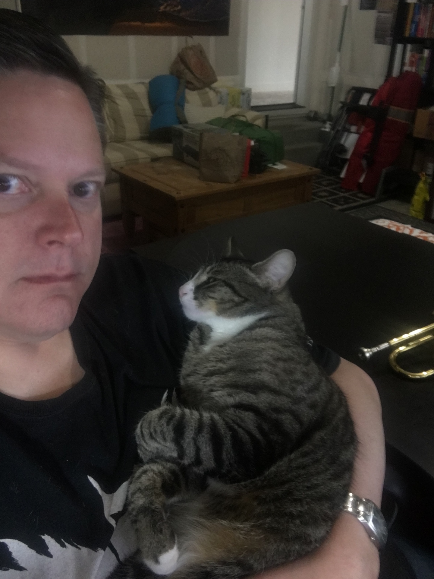 Michael Paul holding Jaxx, a tabby cat resting against his chest